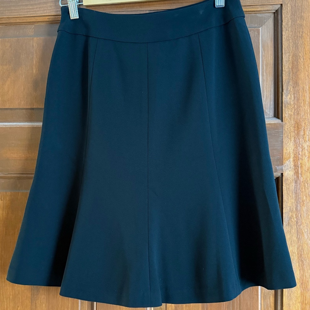 Ann Taylor skirt, size: 0P